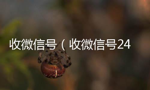 收微信号（收微信号24小时在线秒结）