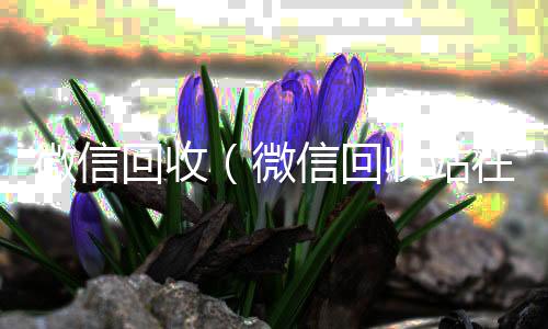 微信回收(微信回收站在哪里打开)