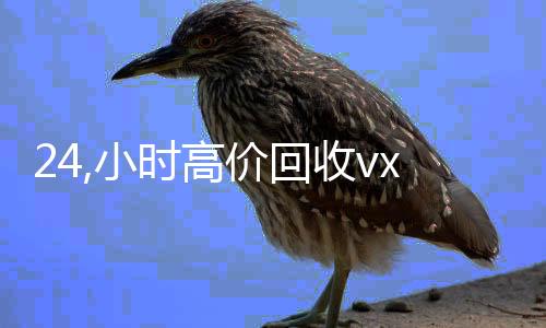 24,小时高价回收vx（高价24小时回收微信）