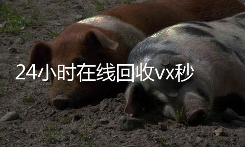 24小时在线回收vx秒结(24小时手机回收在线)