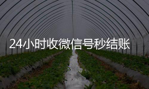 24小时收微信号秒结账(回收vx秒结联系方式)